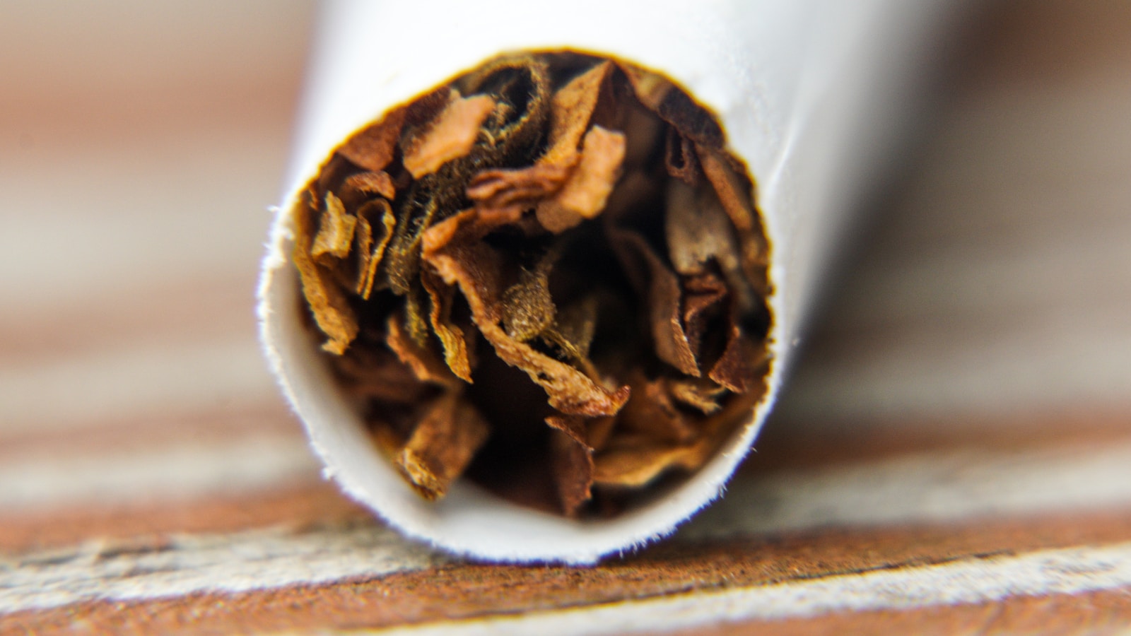 a close up of a white tube of tabakblaetter